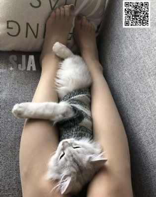 欧美连体泳装秀视频_BDHD在线观看