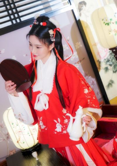 法国大使是国产_HD在线观看